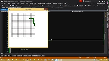 Basic C# - Snake Moving Demo