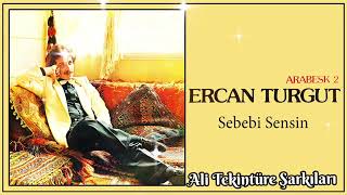 Ercan Turgut  / Sebebi Sensin