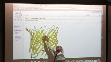 #5 BB 350 Protein 3D Structure I - Kevin Ahern