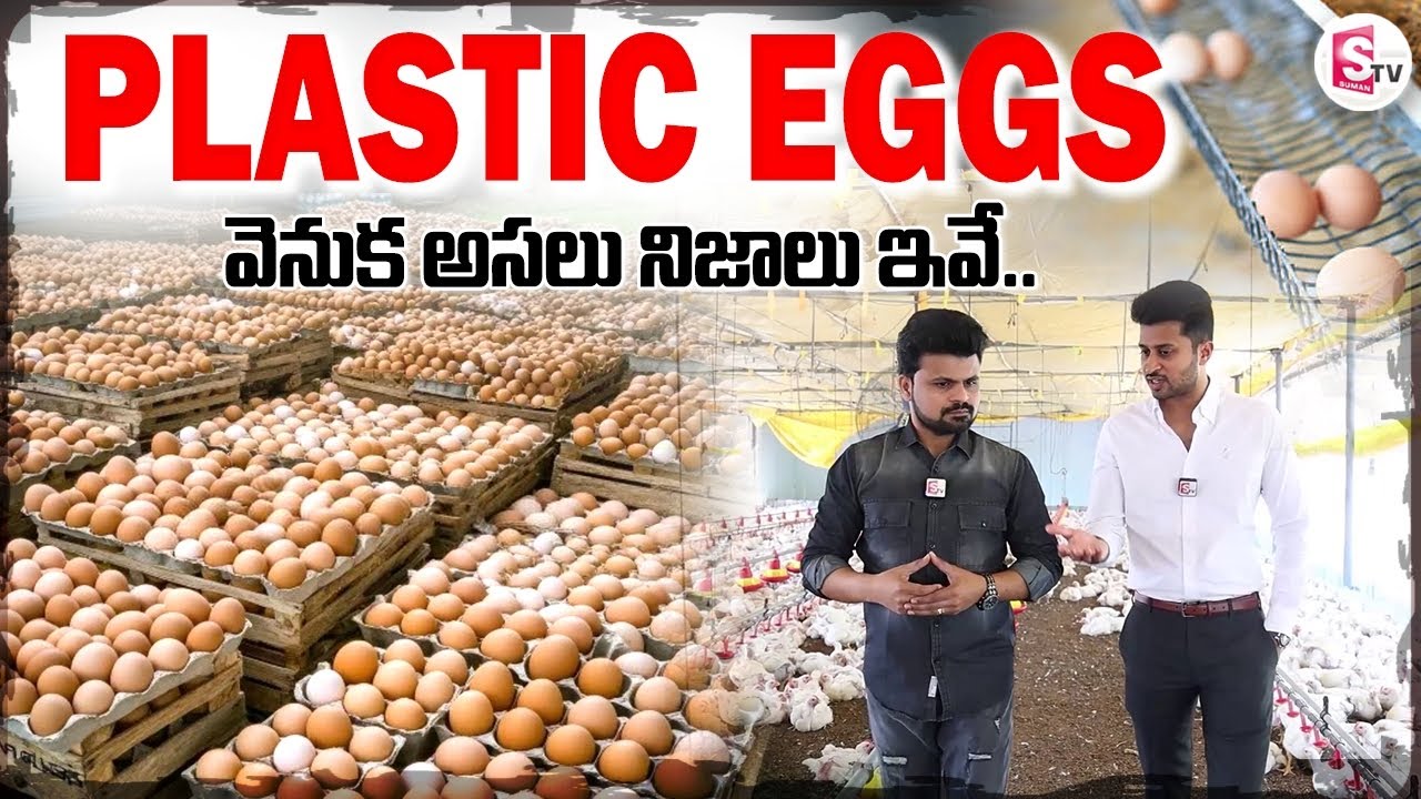 ప్లాస్టటిక్ గుడ్లు నిజమేనా? | Truths Behind Plastic Eggs | Anchor Roshan | SumanTV Vijayawada
