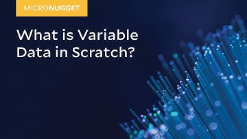 MicroNuggets: Variable Data in Scratch Explained