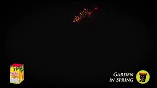 Garden in Spring by Black Cat Fireworks 40/1 MEBC6059