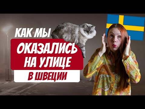 Как мы оказались