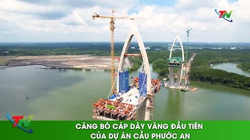 Căng bó cáp dây văng đầu tiên của dự án cầu Phước An