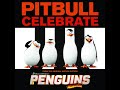 Pitbull Celebrate 