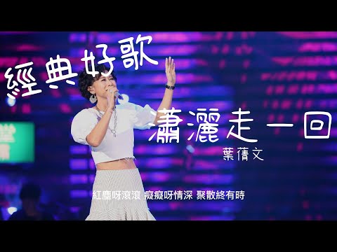 瀟灑走一回 - 葉蒨文『紅塵呀滾滾癡癡呀情深，聚散終有時』【動態歌詞/經典中文歌曲/無廣告】