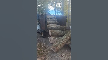 De houtblokken zijn naar beneden... Nu begint het plezier #eastonmade #axis #firewood #godisgood ...