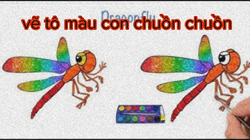 vẽ và tô màu con chuồn chuồn đơn giản