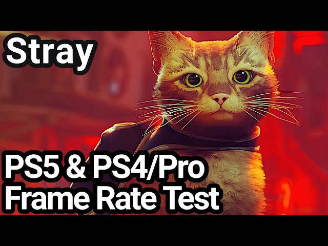 Stray: compare o jogo rodando no PS4, PS4 Pro e no PS5