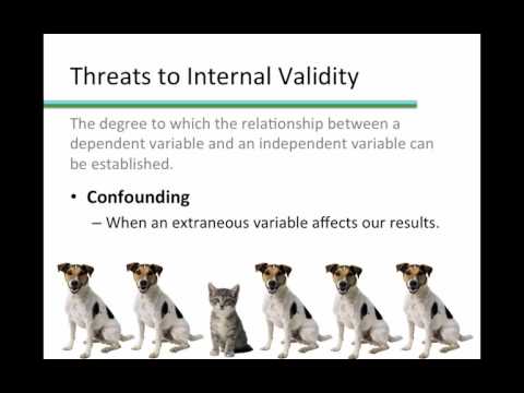 Video: Afectează dezirabilitatea socială validitatea internă?