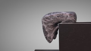 Softbody Simulation 5 / Marble Cube with holes