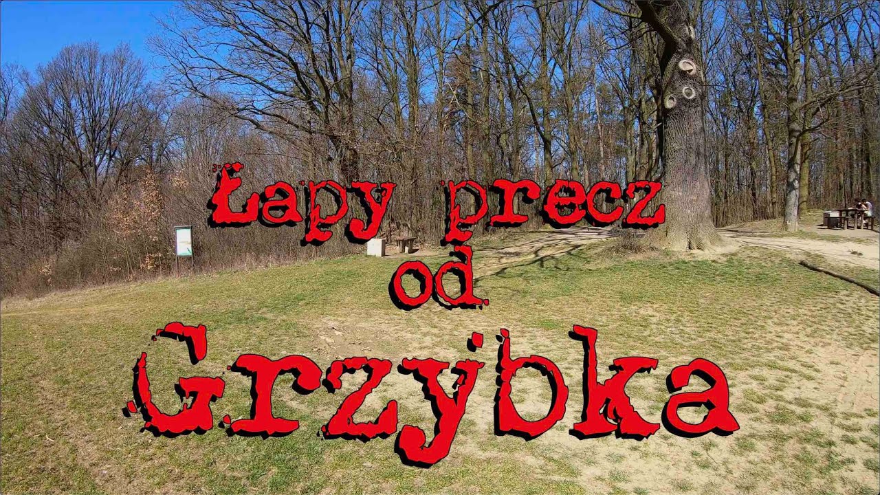 Łapy precz od Grzybka #łapypreczodGrzybka