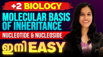 Plus Two Biology | Molecular Basis of Inheritance | Nucleotide and Nucleoside | Important Question