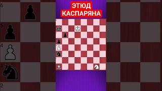 💥НЕ ЧИСЛОМ А УМЕНИЕМ - HARD #chesspuzzle #шахматныезадачи #шахматы #chess