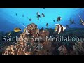 4k Rainbow Reef Meditation - Relaxing Music, Inspiring Quotes + Amazing Cinematic Underwater Footage