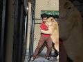 Episode 323 dangerous lion attack in cage 