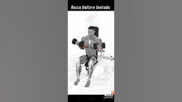 Rosca Haltere Sentado