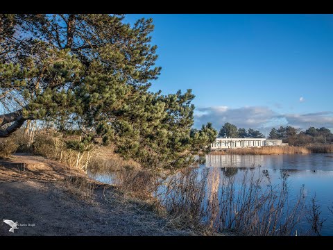 Wethouder van Gelukpark  duingebied Overveen Bloemendaal   HD 1080p