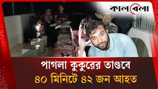 ৪০ মিনিটে ৪২ জনকে কা'ম'ড়াল পাগলা কুকুর | Kustia | Kalbela News