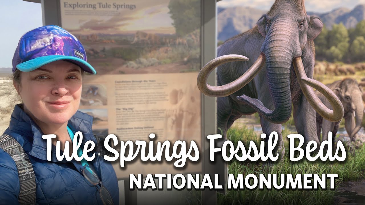 Tule Springs Fossil Beds National Monument YouTube