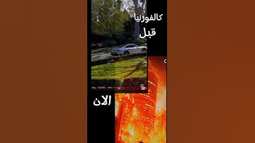 سنريهم آياتنا في الآفاق وفي أنفسهم 