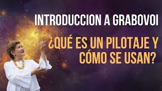 Que Es Un Pilotaje? Aprende A Usar Una Gestion De Control