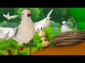 A Lesson to The Ant 3D Animated Hindi Moral Stories for Kids चींटी को सबक कहानी Fairy Tales