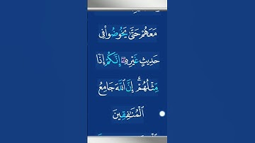 طمأنينة وسكينة: تلاوة خاشعة للقرآن الكريم