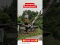sirine jepang mantap jiwa