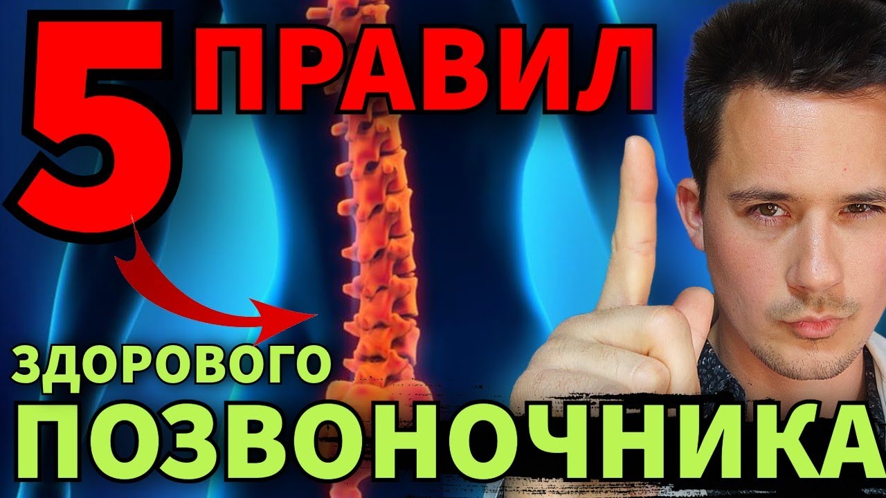 Остеохондроз, протрузии и грыжа позвоночника | Как избежать? - YouTube