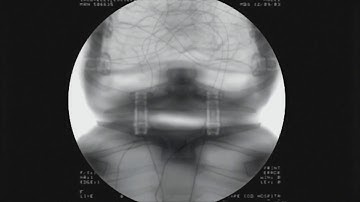 The One Minutes Series:  Floris Kaayk - The Modular Body