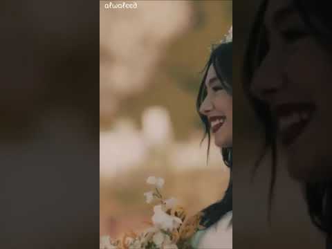 مصطفى حجاج خطوة يا صاحب الخطوة حالات واتس اب جديد اغنية مصرية