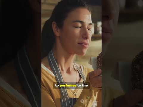 Your Nose Can Remember 50 000 Smells Shorts