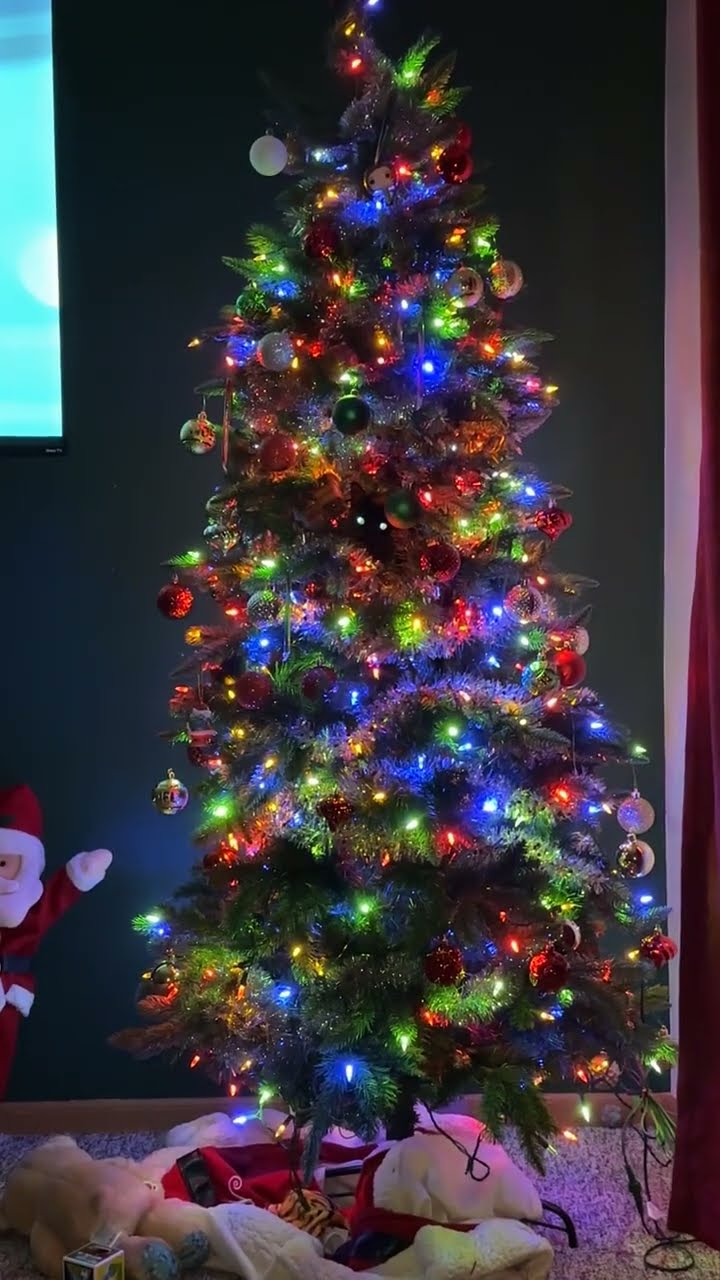 Void Cat Stares From Christmas Tree || ViralHog