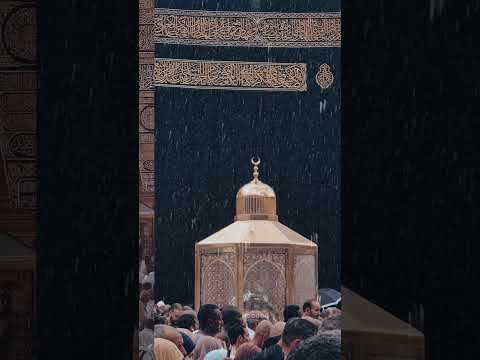 Madina Love Bestfeed Islamicholycities Unfrezzmyaccount Madinekibaatein Duet Newnaath 