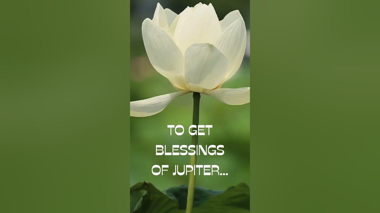 Numerology Birth Number 3 YouTube numerology-birth-number-3-youtube