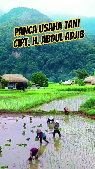 LAGU TARLING CIREBONAN - BARIDIN #abduladjib #baridin #shorts #tarling