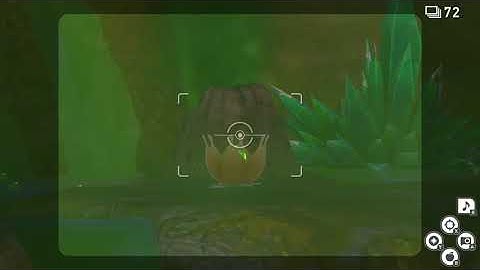 gigantic koffing new pokemon snap request