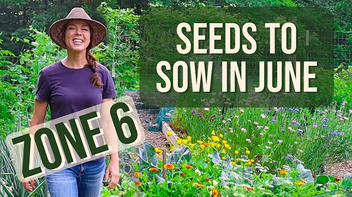 What to Plant in June- Zone 6 Vegetable Garden