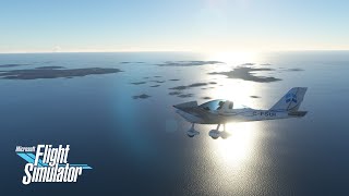 TL Ultralight / Sting S4 for MS Flight Simulator screenshot 1