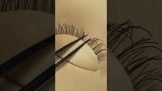 How to Isolate Eyelashes for Lash Extensions #eyelashextensions #youtubeshorts