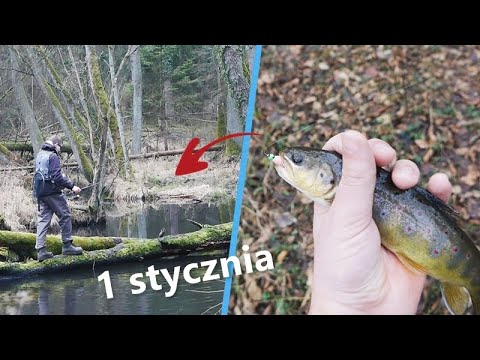 Pierwsze wędkowanie w nowym roku 2020 | Wędkarstwo