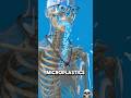 what microplastics do to your bloodstream 😱 #shorts #ytshorts #thebiohack