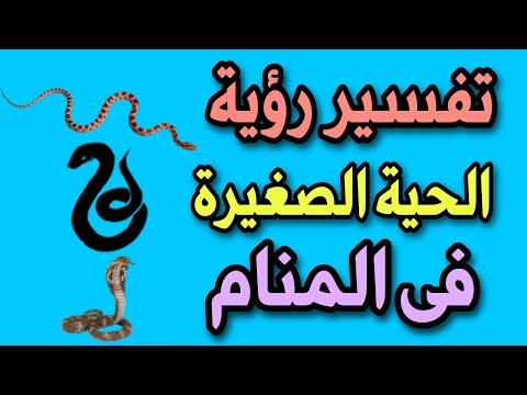تفسير رؤية الحية الصغيرة فى المنام رؤية الثعبان الصغير فى المنام