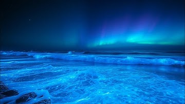 🌊 Relaxing Ocean White Noise 😴 Sleep All Night 🌴 Calm Waves for Stress & Anxiety Relief