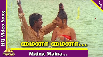 Pagal Nilavu Tamil Movie Songs | Maina Maina Video Song | Murali | Revathi | Ilayaraja | மைனா மைனா