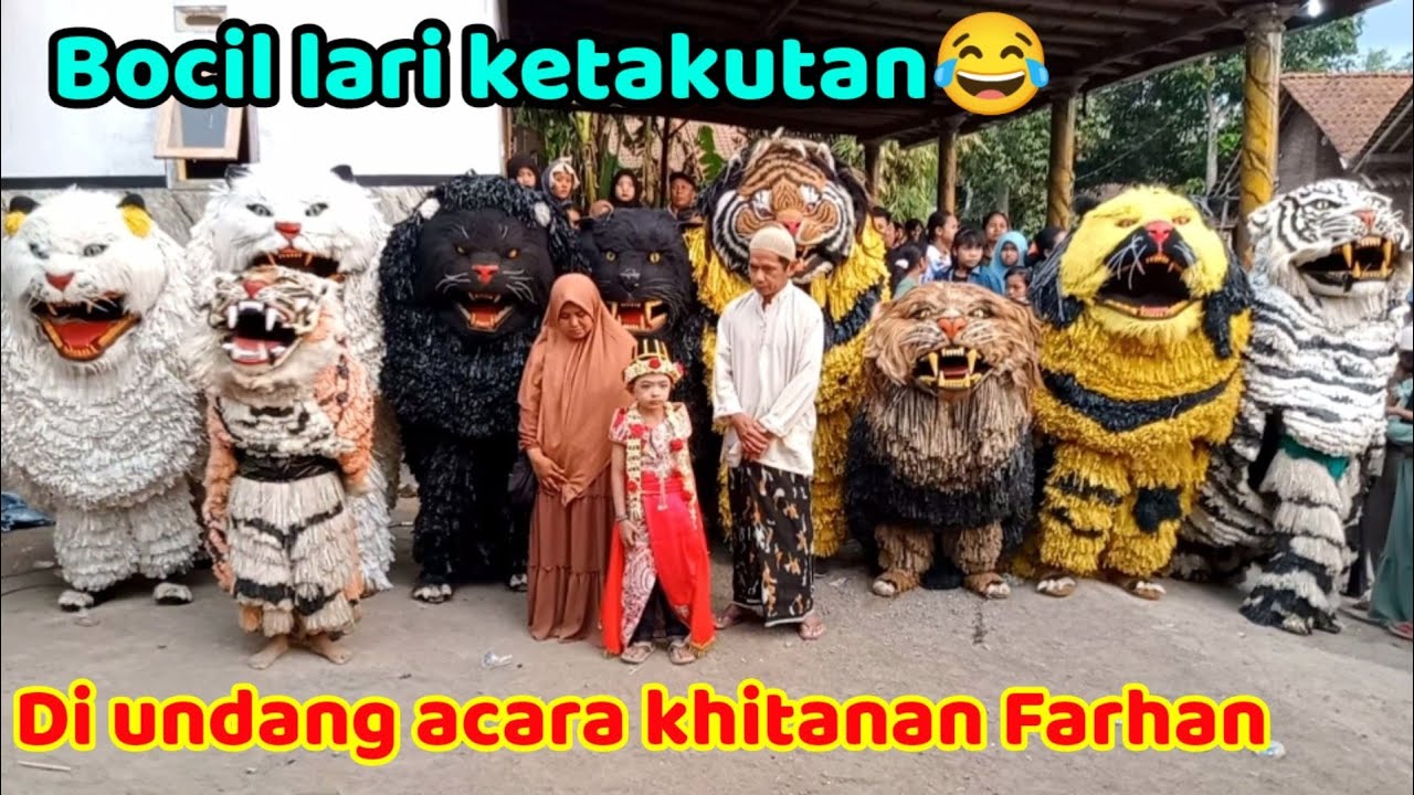 Can macanan singo raung cilik diundang acara khitanan bersama penari ular | bocil lari ketakutan