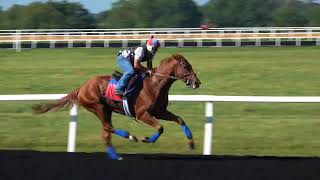 Full of Zip works 5/8 in 1:02.3 on 9/15/17