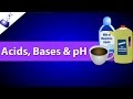 Acids Bases and the pH Scale Explained