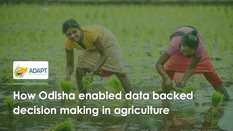 Workstream Explainer: Decision Support System (DSS)